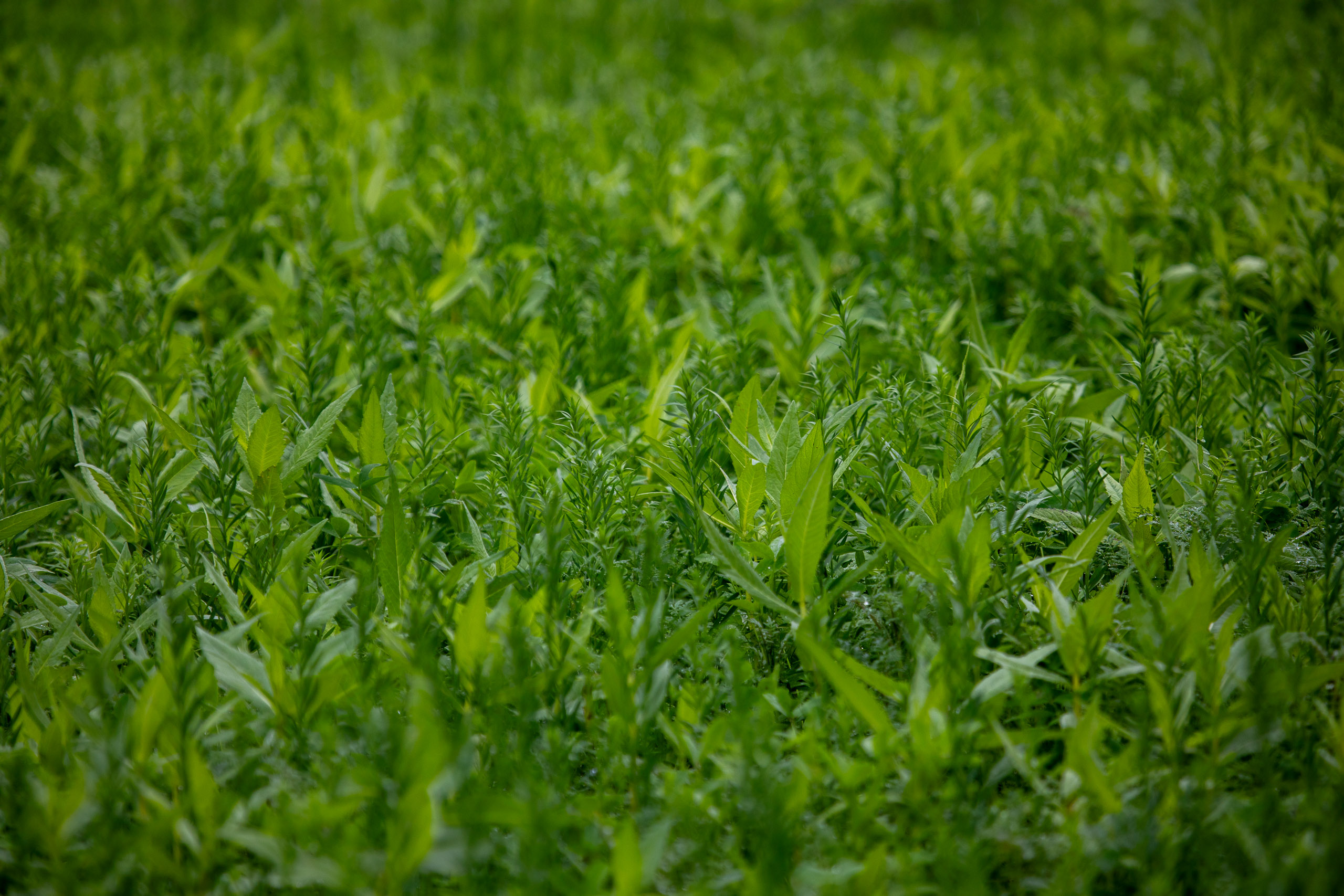 20231015103845 RD4 4737